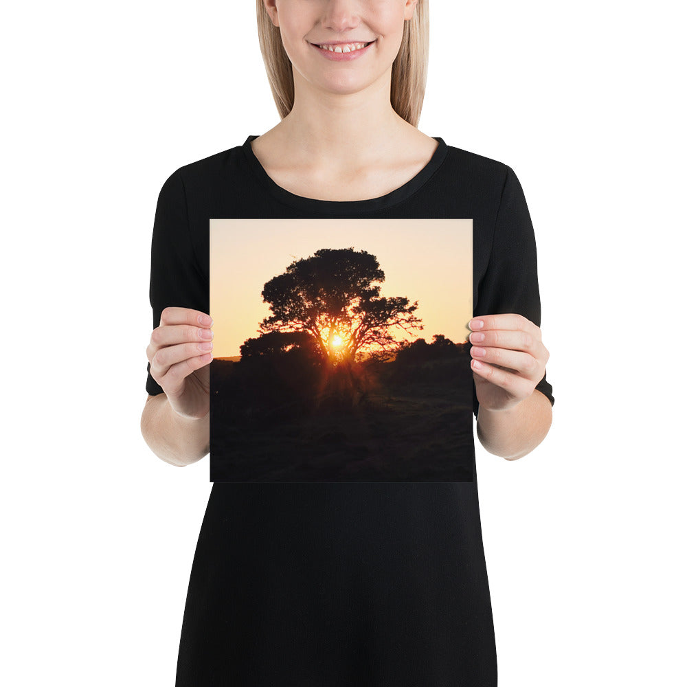 Campers Coffee travel series South Africa safari