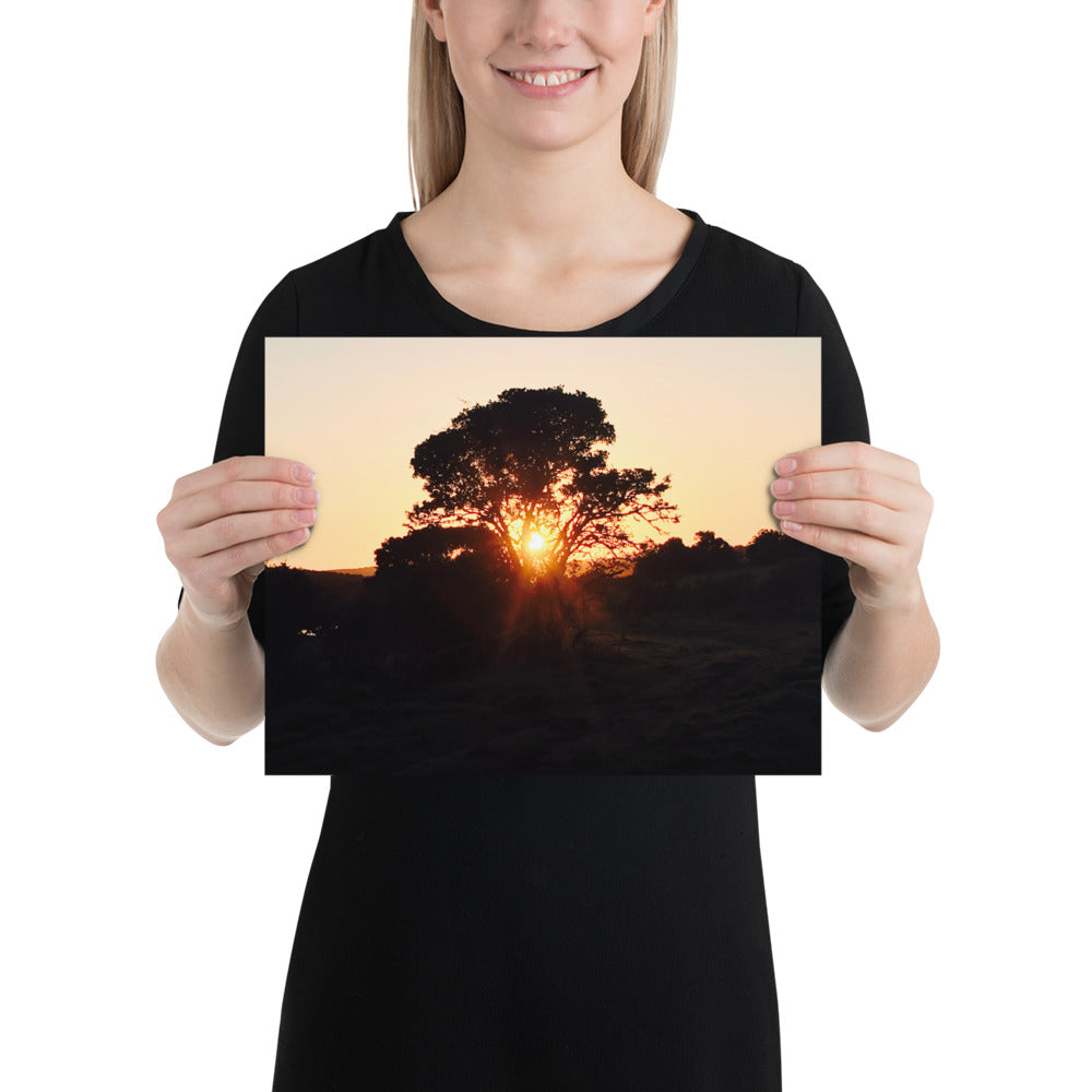 Campers Coffee travel series South Africa safari