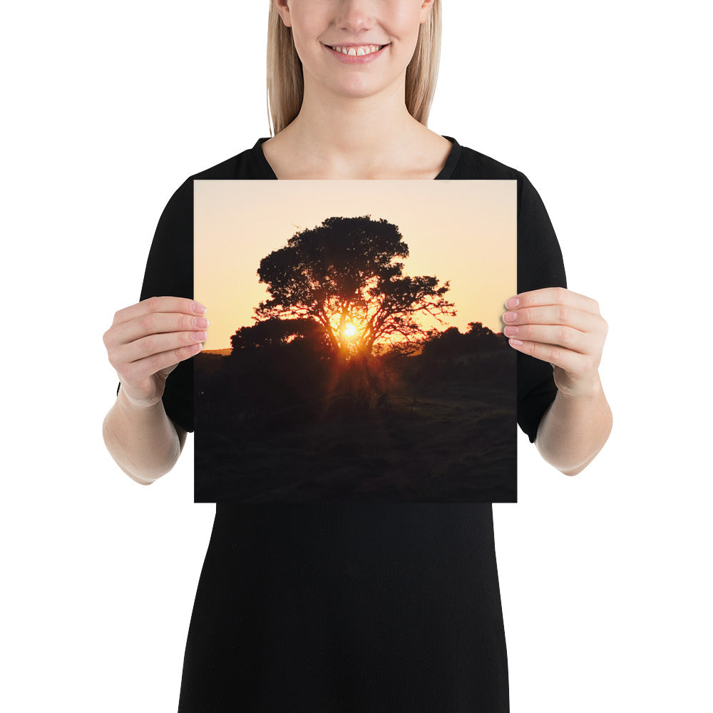 Campers Coffee travel series South Africa safari