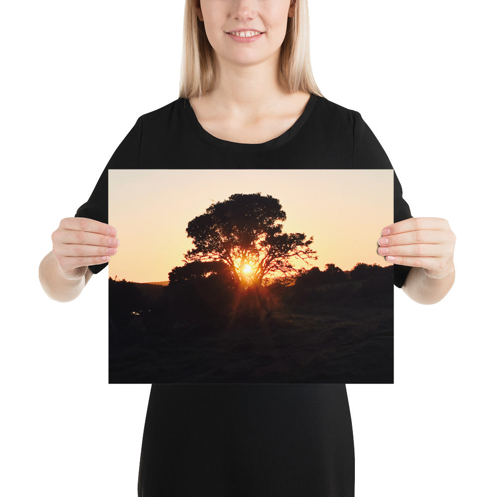 Campers Coffee travel series South Africa safari