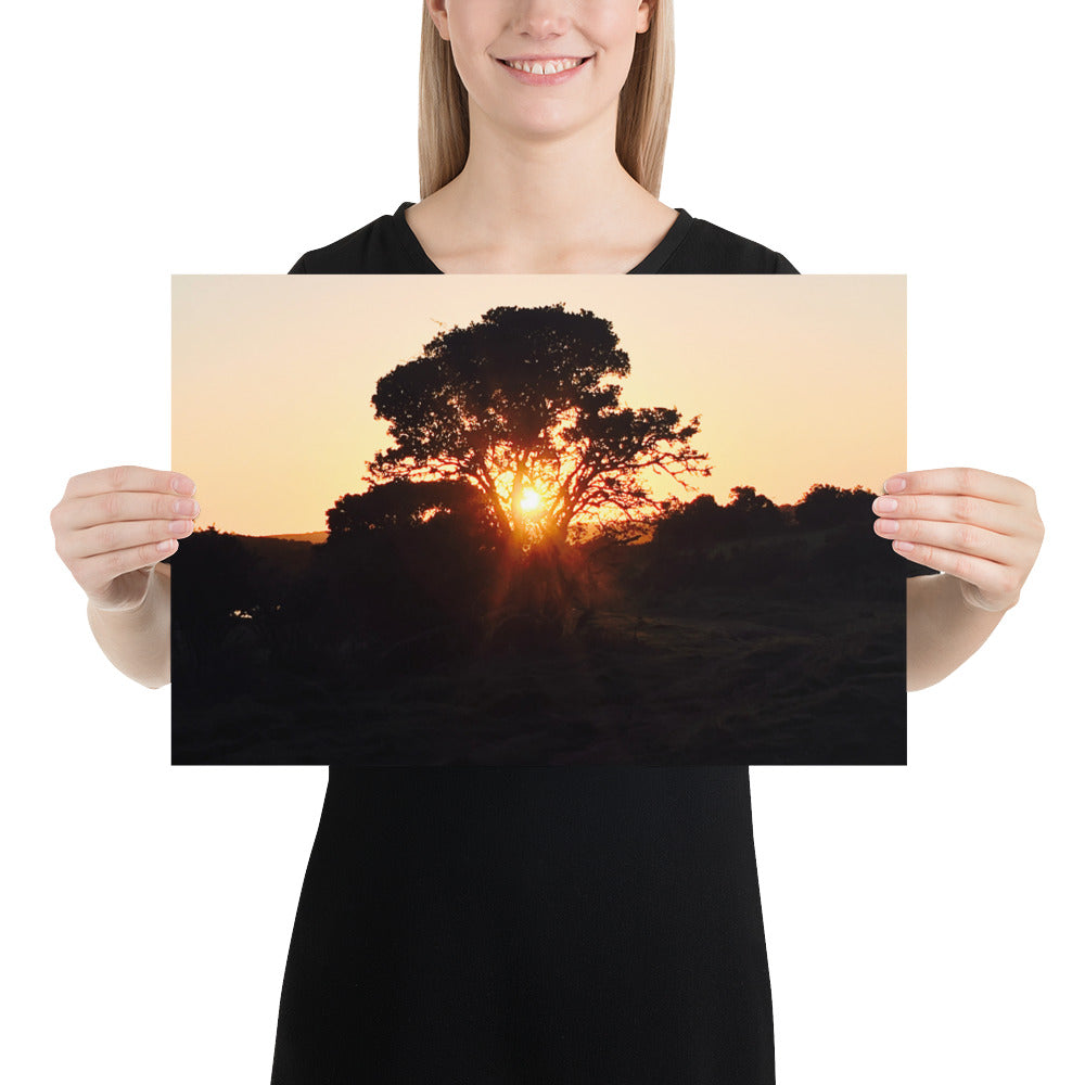 Campers Coffee travel series South Africa safari