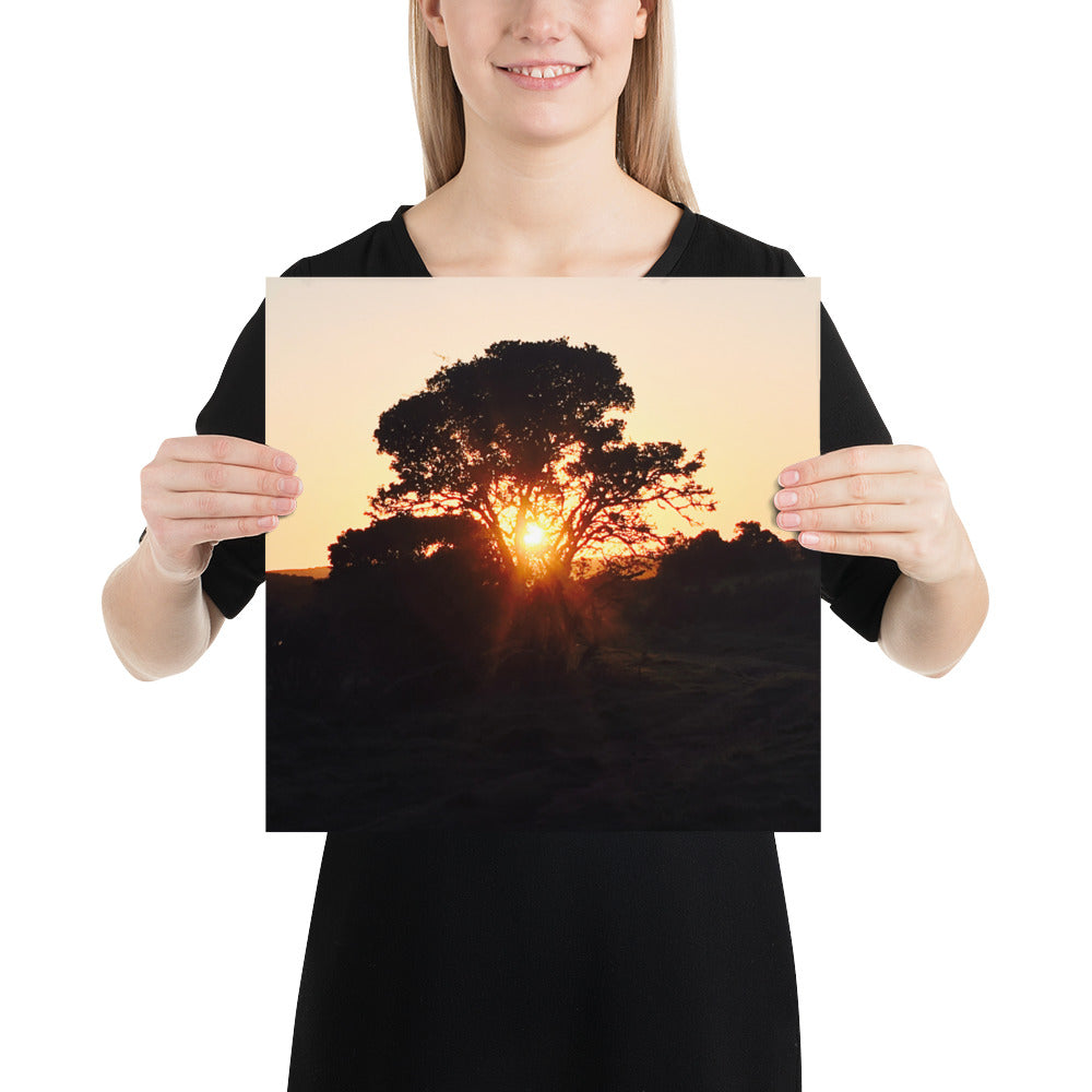 Campers Coffee travel series South Africa safari