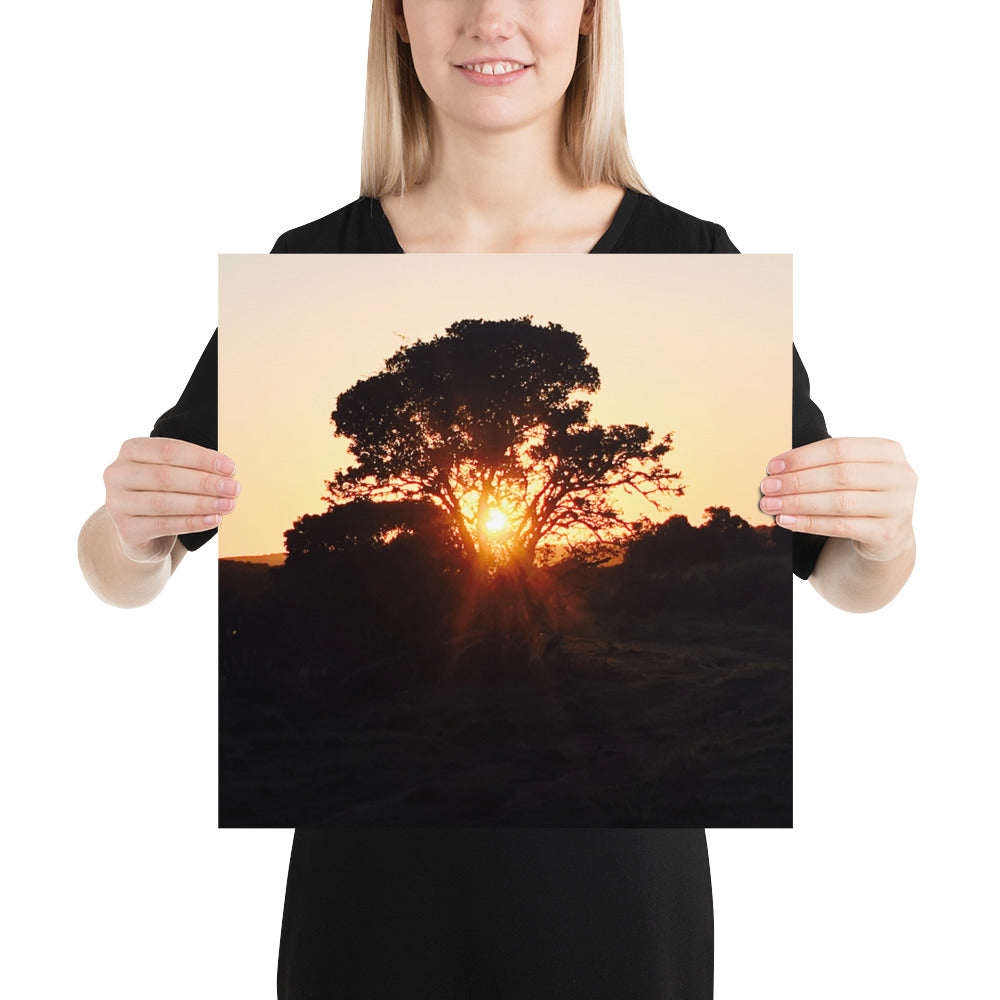 Campers Coffee travel series South Africa safari