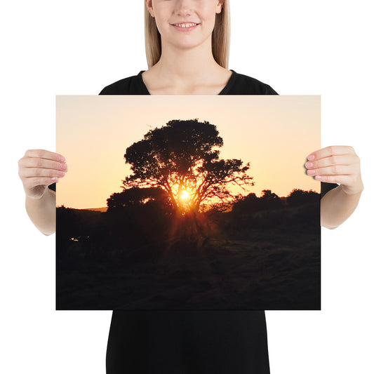 Campers Coffee travel series South Africa safari