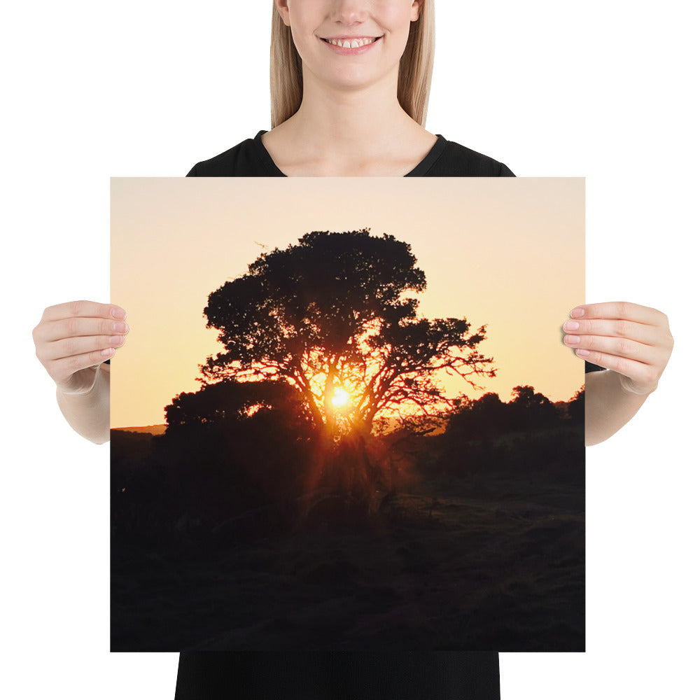 Campers Coffee travel series South Africa safari