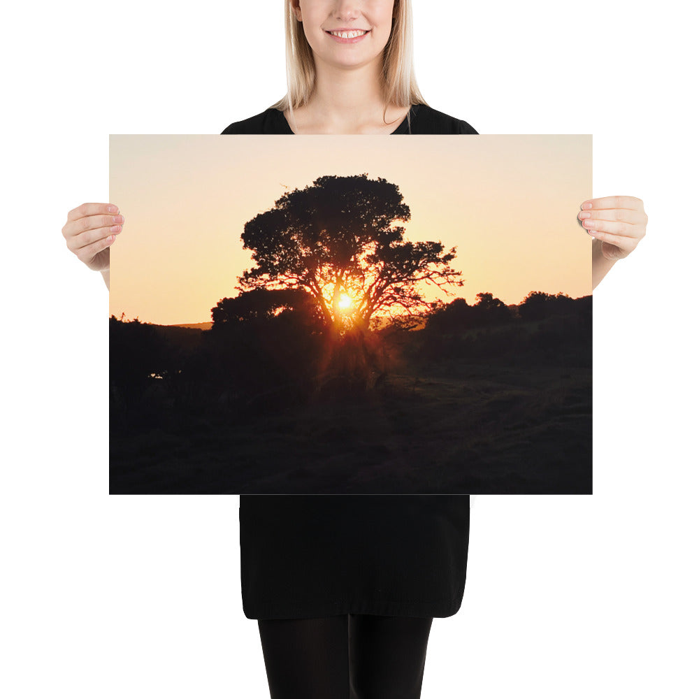 Campers Coffee travel series South Africa safari